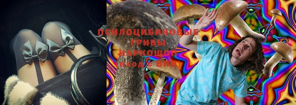 эйфоретик Заводоуковск