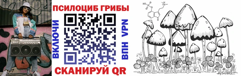 Псилоцибиновые грибы Psilocybine cubensis  что такое   Кологрив 